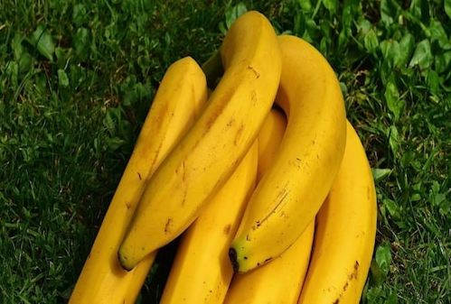 Banana Benefits: ਬਲੱਡ ਪ੍ਰੈਸ਼ਰ ਨੂੰ ਕੰਟਰੋਲ ਰੱਖਦੈ ਰੋਜ਼ਾਨਾ ਖੁਰਾਕ 'ਚ ਕੇਲਾ