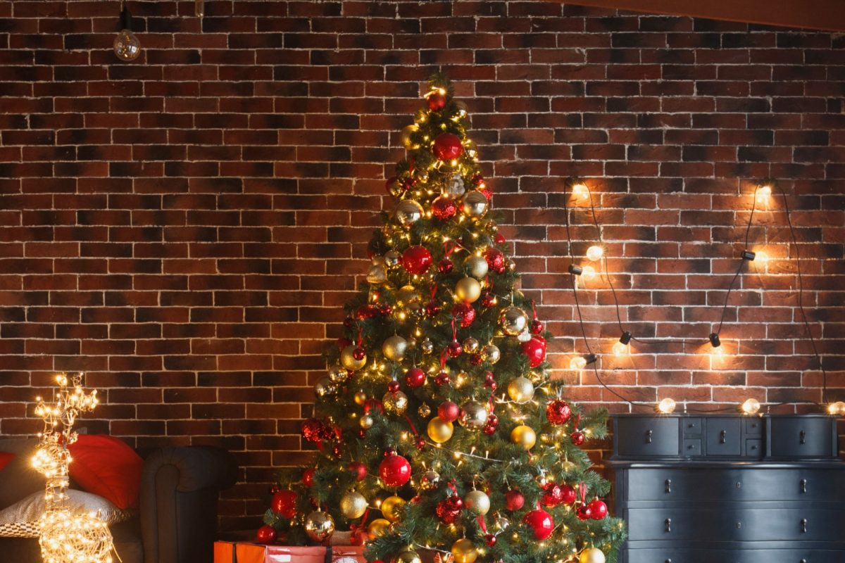 Christmas 2021: ਇਸ ਤਰ੍ਹਾਂ ਸਜਾਓਗੇ Christmas Tree ਤਾਂ ਸਭ ਰਹਿ ਜਾਣਗੇ ਹੈਰਾਨ