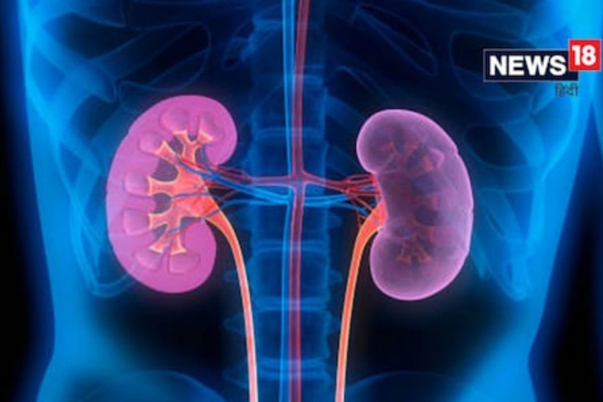 Kidney Health: ਜਾਣੋ ਕਿਡਨੀ ਨੂੰ ਕਿਵੇਂ ਰੱਖਣਾ ਹੈ ਸਿਹਤਮੰਦ? ਪੜ੍ਹੋ ਪੂਰਾ ਹੈਲਥ ਗਾਈਡ
