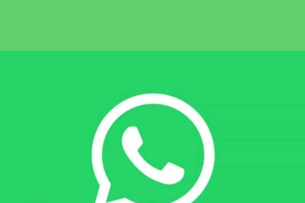 Whatsapp Tricks: ਇਨ੍ਹਾਂ ਸੈਟਿੰਗਸ ਨਾਲ ਤੁਸੀਂ ਔਨਲਾਈਨ ਰਹਿ ਕੇ ਵੀ ਦਿਖੋਗੇ ਔਫਲਾਈਨ