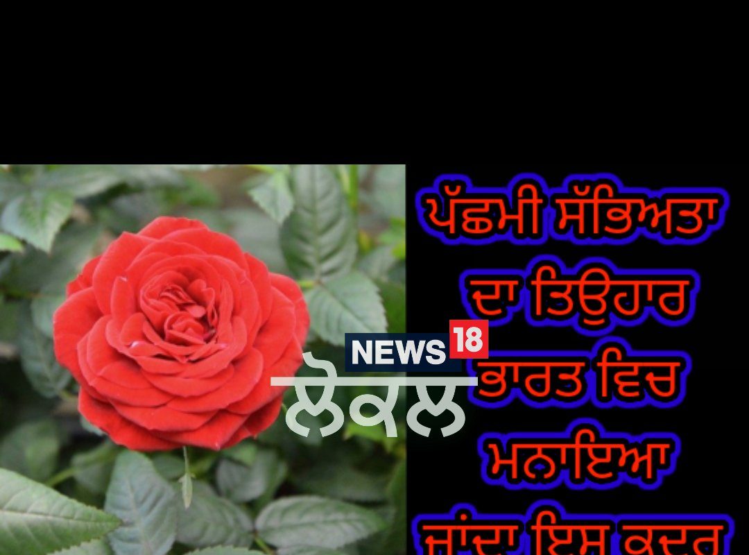 Sri Muktsar Sahib: Rose Day ਮੌਕੇ ਦੁੱਗਣੀਆਂ ਵਧੀਆਂ ਗ਼ੁਲਾਬ ਦੇ ਫੁੱਲ ਦੀਆਂ ਕੀਮਤਾਂ