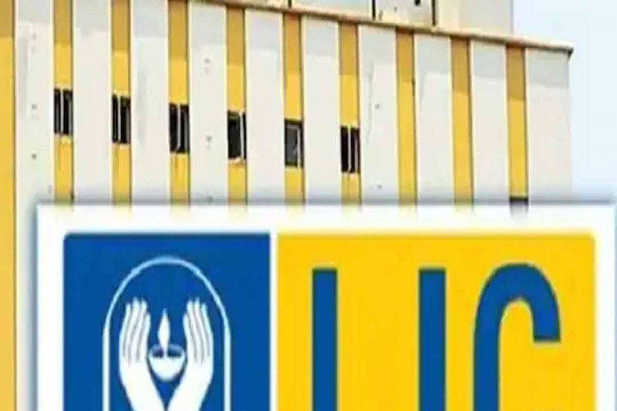 LIC IPO: 11 ਮਈ ਨੂੰ ਖੁੱਲ੍ਹੇਗਾ LIC IPO, ਮਿਲੇਗਾ ਨਿਵੇਸ਼ ਕਰਨ ਦਾ ਚੰਗਾ ਮੌਕਾ