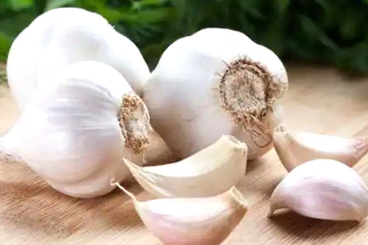 Garlic: ਲਸਣ ਸਬਜ਼ੀ ਹੈ ਜਾਂ ਮਸਾਲਾ? ਜਾਣੋ ਇਸ ਬਾਰੇ ਕੁਝ ਦਿਲਚਸਪ ਗੱਲਾਂ