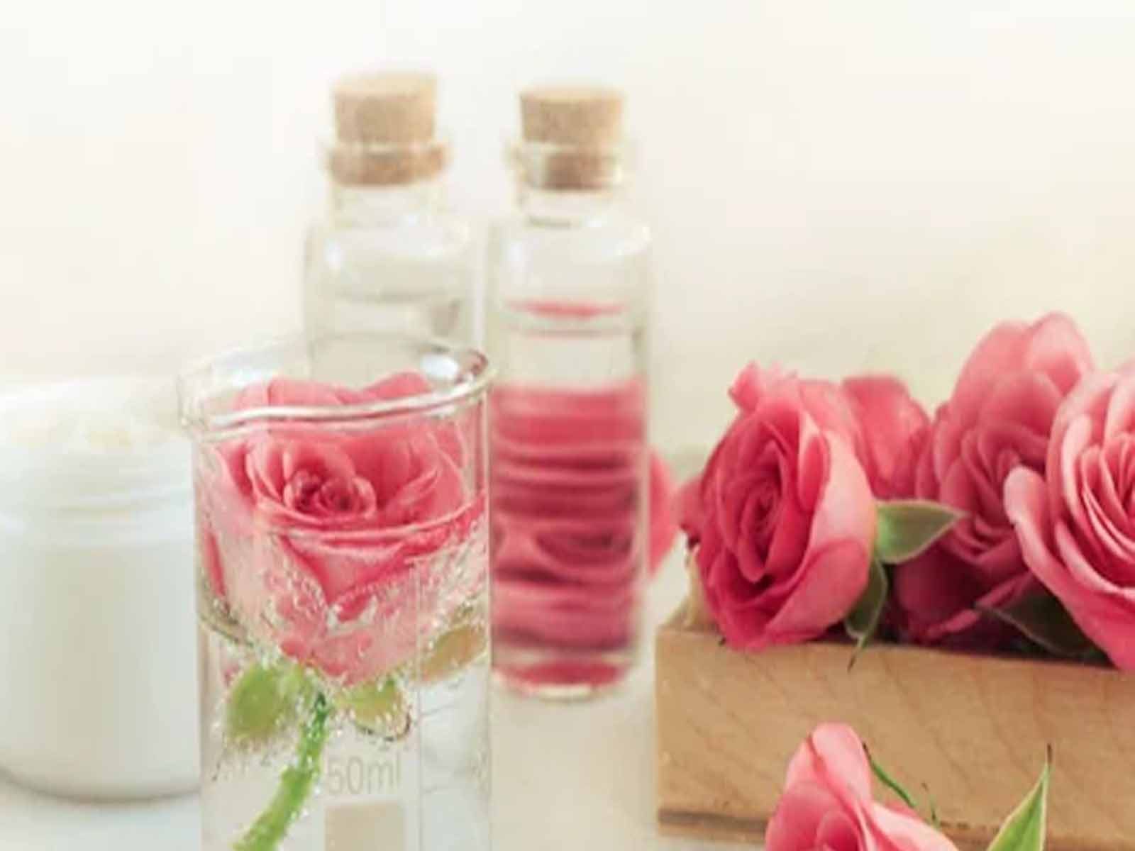  Rose Water Benefits: ਗੁਲਾਬ ਜਲ ਸਕਿਨ ਦੇ ਨਾਲ ਵਾਲਾਂ ਲਈ ਵੀ ਹੈ ਲਾਭਦਾਇਕ, ਇਸ ਤਰ੍ਹਾਂ ਕਰੋ ਵਰਤੋਂ