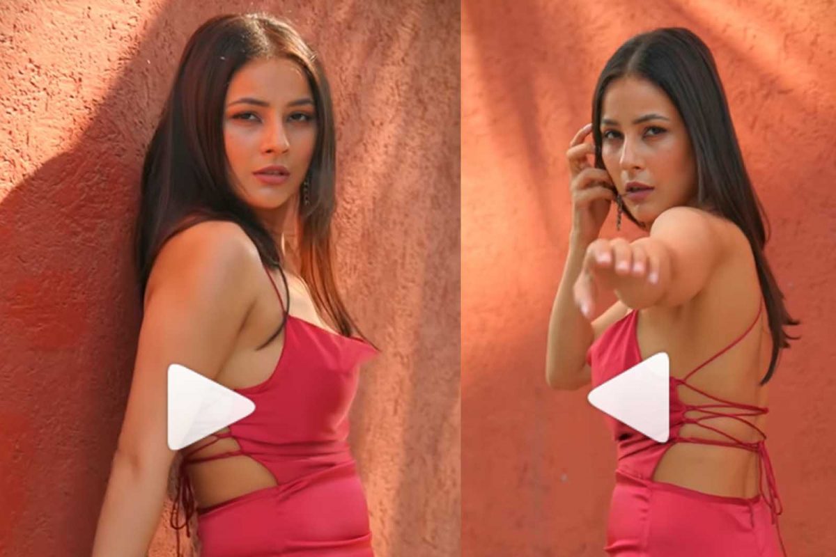 Shehnaaz Gill Video: ਸ਼ਹਿਨਾਜ਼ ਗਿੱਲ ਨੇ ਲਗਾਈ Hotness ਦੀ ਅੱਗ, ਦੇਖੋ ਡਾਰਕ ਪਿੰਕ ਆਊਟਫਿਟ 'ਚ Cool Look
