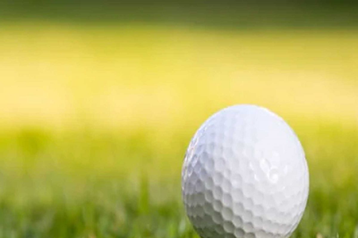 Golf Balls 'ਚ ਕਿਉਂ ਬਣਾਏ ਜਾਂਦੇ ਹਨ ਡਿੰਪਲ? ਇੰਜੀਨੀਅਰ ਨੇ ਇਸ ਕਾਰਨ ਬਦਲਿਆ ਸੀ ਡਿਜ਼ਾਈਨ 