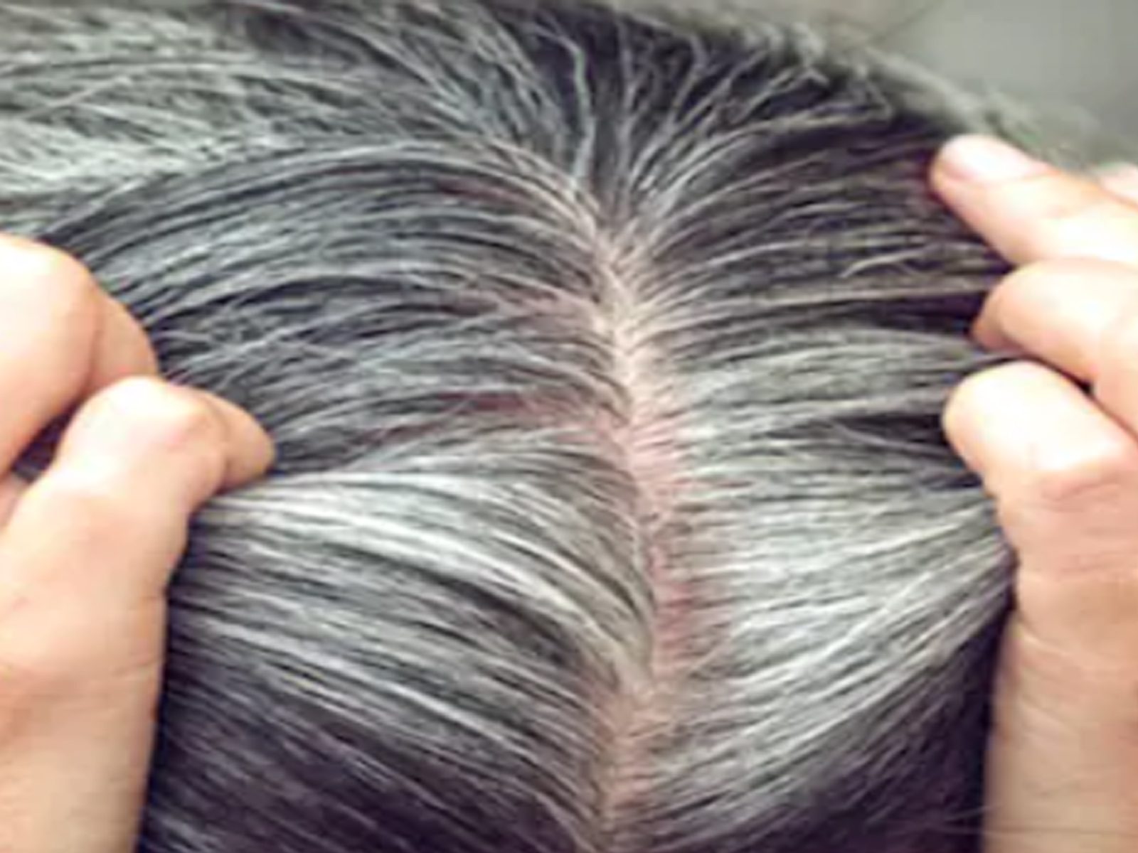 Hair Tips: ਵਾਲ ਛੋਟੀ ਉਮਰ ਵਿੱਚ ਸਫੇਦ ਹੋ ਰਹੇ ਹਨ? ਮਾਹਿਰਾਂ ਤੋਂ ਜਾਣੋ ਕਾਰਨ