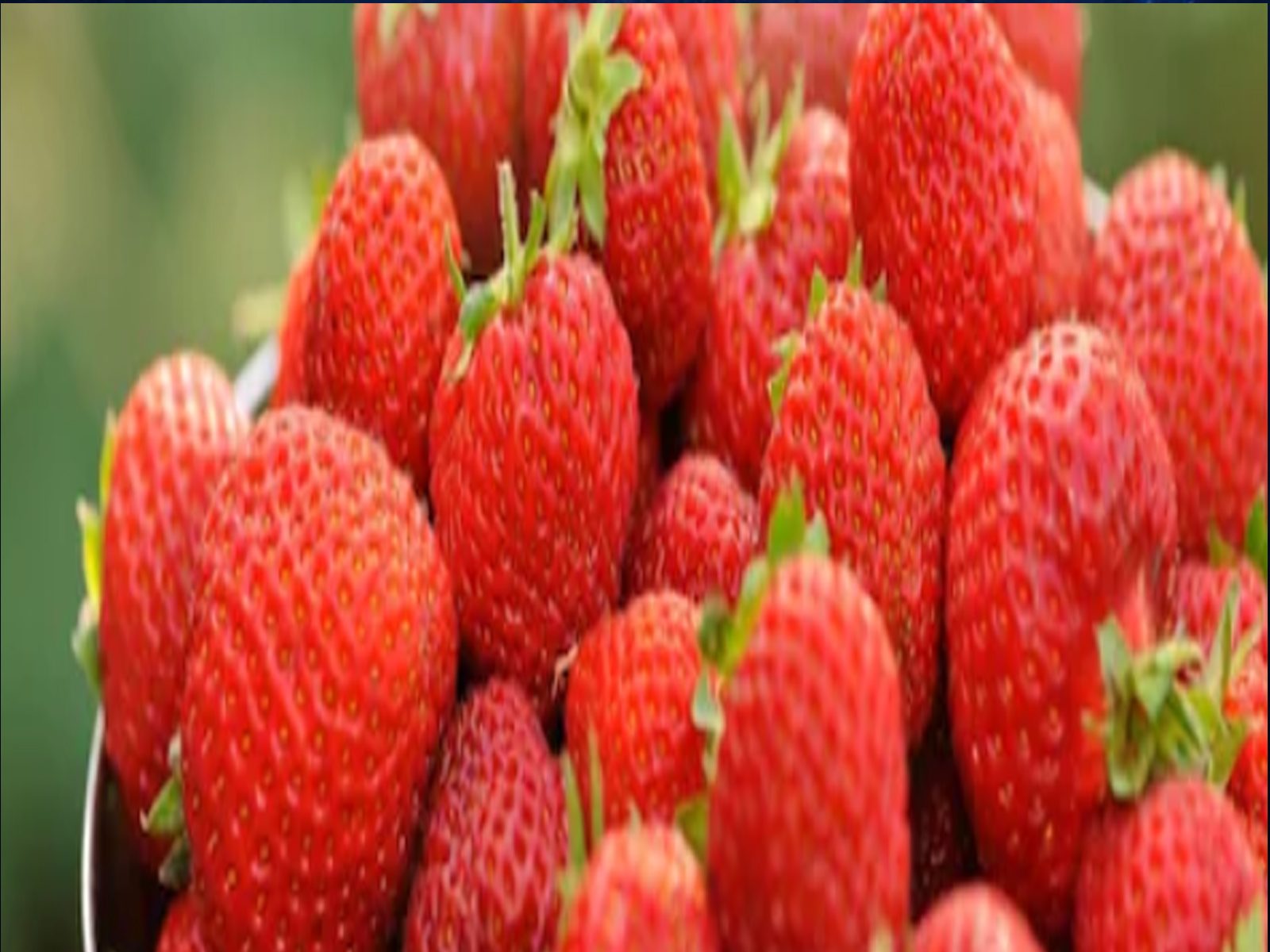  Strawberry is very useful for heart patients