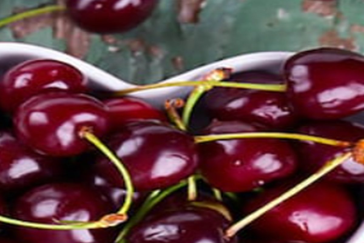National Cherry Day 2022: ਜ਼ੁਬਾਨ ਨੂੰ ਫਲੇਵਰ ਨਾਲ ਭਰ ਦੇਣਦੇ ਚੈਰੀ ਸ਼ੋਟਸ, ਇੱਕ ਵਾਰ ਜ਼ਰੂਰ ਅਜ਼ਮਾਓ