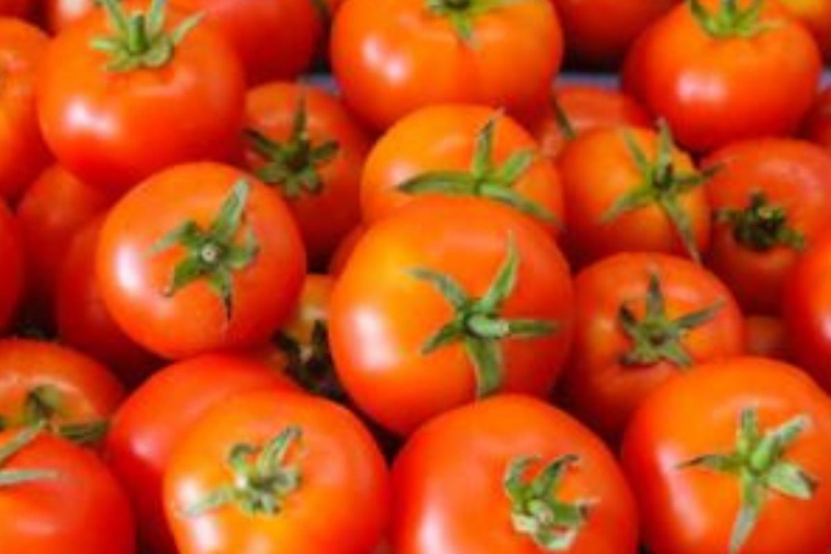 Side Effects of Tomatos: ਟਮਾਟਰ ਜ਼ਿਆਦਾ ਖਾਣ ਤੇ ਤੁਹਾਡਾ ਪੇਟ ਹੋ ਜਾਵੇਗਾ ਖ਼ਰਾਬ, ਜਾਣੋ 7 ਨੁਕਸਾਨ