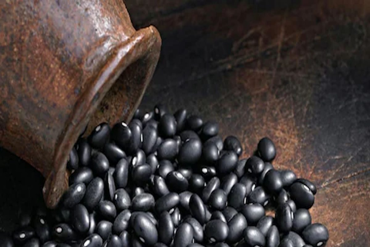 Health Tips: ਕੋਲੈਸਟ੍ਰੋਲ ਨੂੰ ਘਟਾ ਸਕਦਾ ਹੈ Black Beans ਦਾ ਸੇਵਨ, ਜਾਣੋ ਇਸਦੇ ਲਾਭ