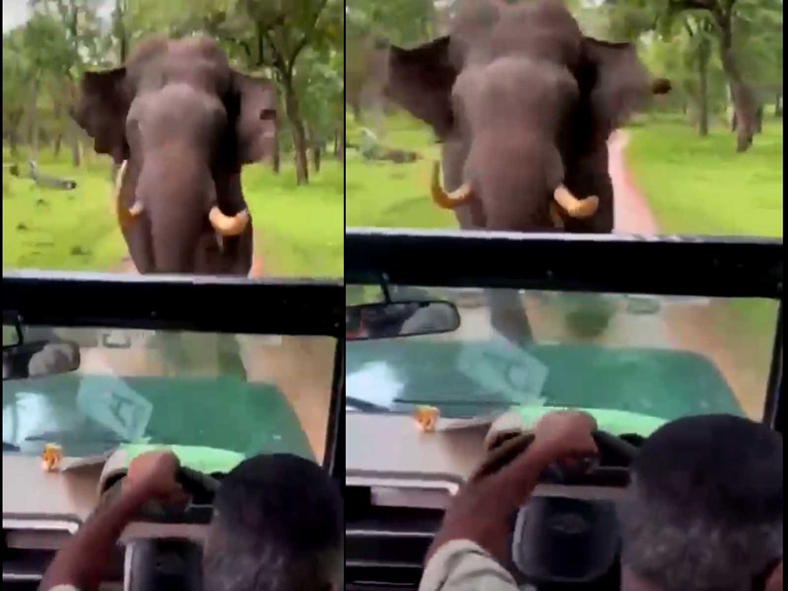 Elephant Attack On Car: ਹਾਥੀ ਨੇ ਕਾਰ 'ਤੇ ਕੀਤਾ ਭਿਆਨਕ ਹਮਲਾ, ਡਰਾਈਵਰ ਨੇ ਦਿਖਾਈ ਹੋਸ਼ਿਆਰੀ ਕੀਤਾ ਇਹ ਕੰਮ