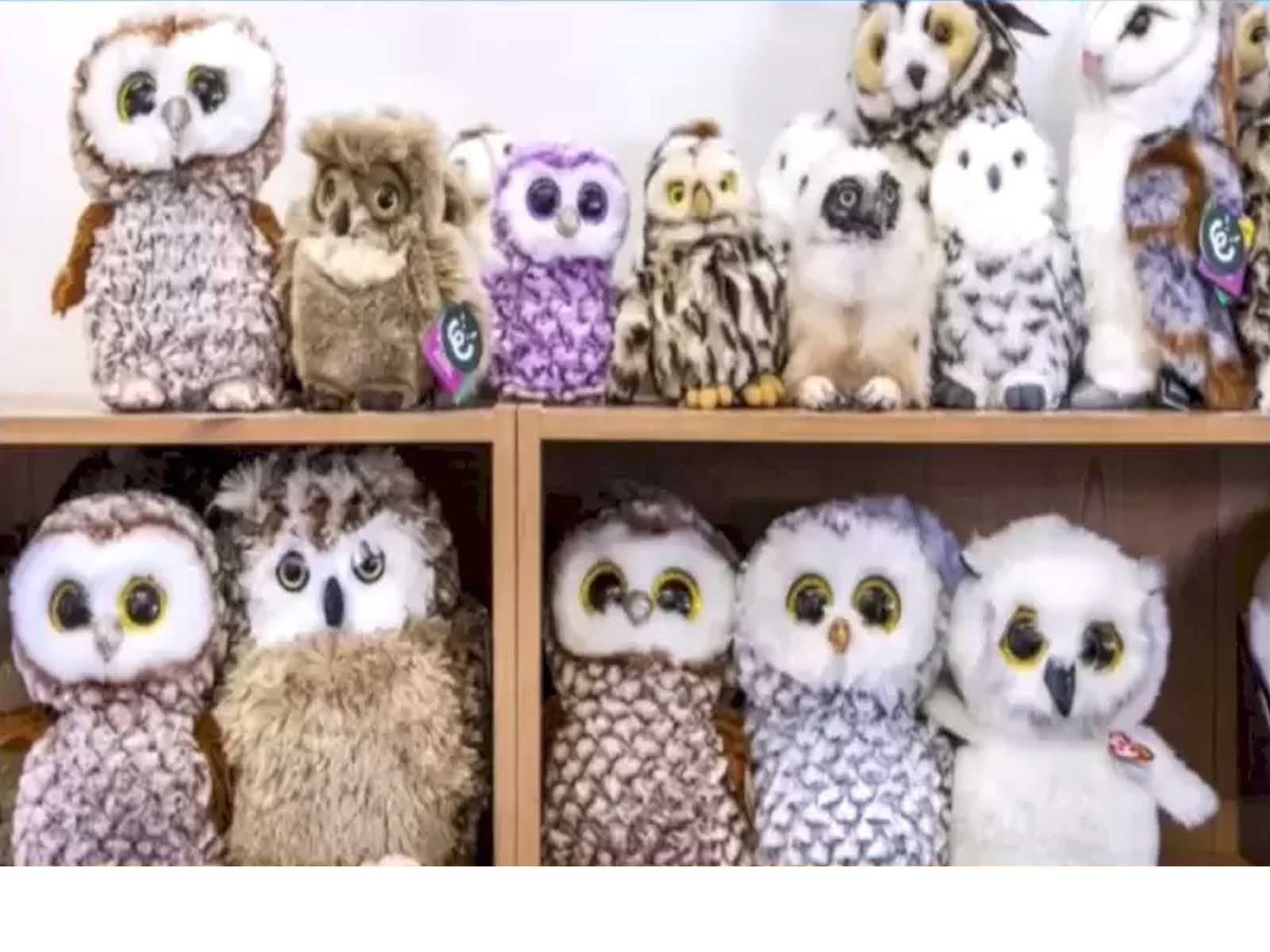 Spot The Hidden Owl: ਨਕਲੀ ਉੱਲੂਆਂ 'ਚੋਂ ਅਸਲੀ ਦੀ ਕਰੋ ਪਛਾਣ, ਜਵਾਬ ਜਾਣਨ ਲਈ ਪੜ੍ਹੋ ਖਬਰ