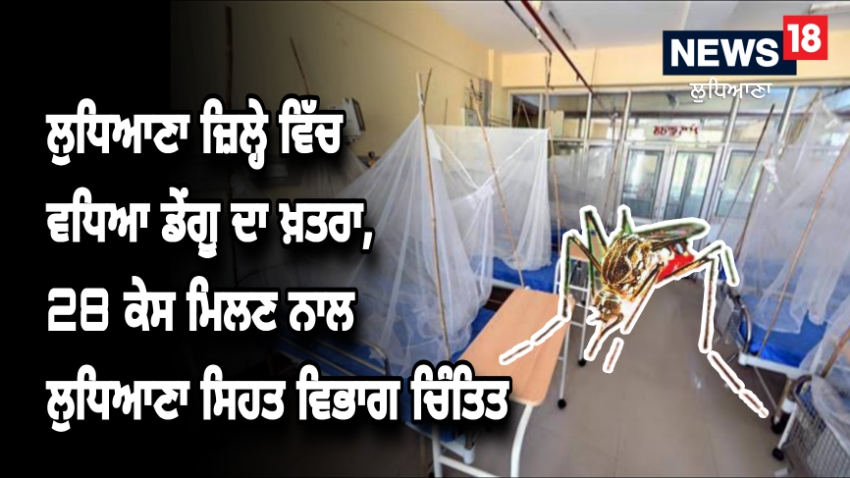 Dengue Cases in Ludhiana:ਲੁਧਿਆਣਾ ਜ਼ਿਲ੍ਹੇ ਵਿੱਚ ਵਧਿਆ ਡੇਂਗੂ ਦਾ ਖ਼ਤਰਾ, 28 ਕੇਸ ਮਿਲਣ ਨਾ