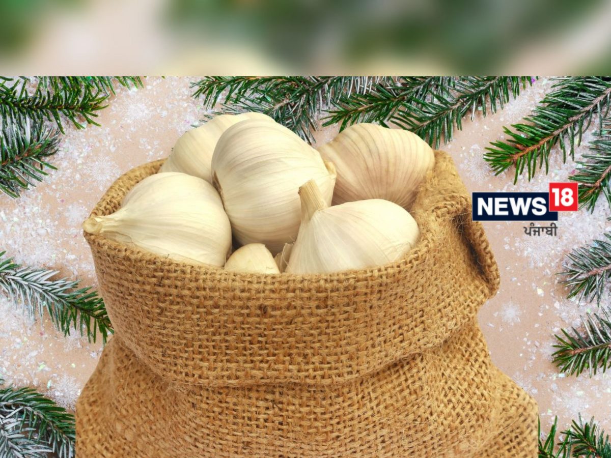 Garlic Benefits: ਸਰਦੀਆਂ 'ਚ ਬਿਮਾਰੀਆਂ ਤੋਂ ਰਹਿਣਾ ਹੈ ਦੂਰ ਤਾਂ ਕਰੋ ਲਸਣ ਦਾ ਸੇਵਨ