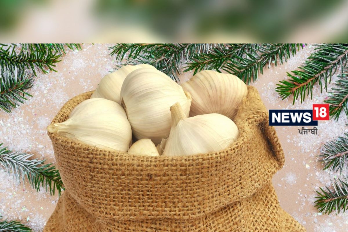 Garlic Remedies: ਸਫਲਤਾ ਤੇ ਧਨ ਦੀ ਕਮੀ ਪੂਰੀ ਕਰ ਸਕਦੇ ਹਨ ਲਸਣ ਨਾਲ ਕੀਤੇ ਇਹ ਉਪਾਅ