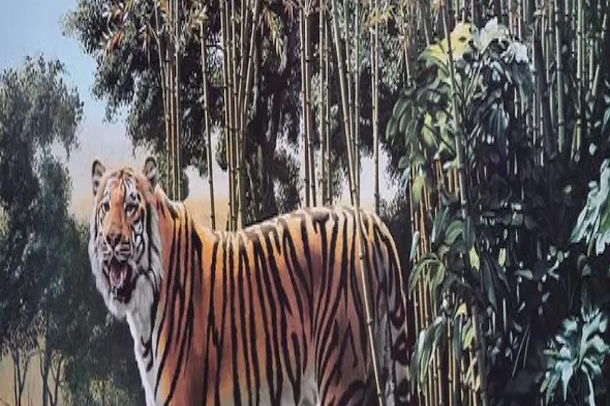 ਟਾਈਗਰ 'ਚ ਕੀਤੇ ਲੁਕਿਆ ਹੋਇਆ ਹੈ Hidden Tiger, ਲੱਭ ਕੇ ਚੁਣੌਤੀ ਨੂੰ ਕਰੋ ਹੱਲ
