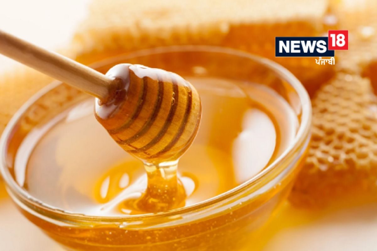 Honey Testing Tips: ਇਸ ਤਰੀਕੇ ਨਾਲ ਘਰ ਬੈਠੇ ਕਰੋ ਅਸਲੀ-ਨਕਲੀ ਸ਼ਹਿਦ ਦੀ ਜਾਂਚ